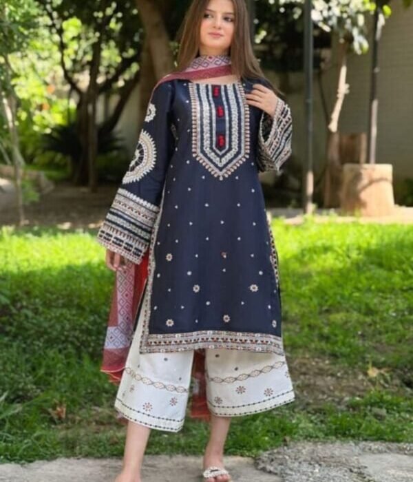RR-610 Unstitched Dhanak Stuff Full Embroidered Suit With Printed Wool Shawl